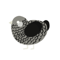 (unnamed), a ash and black chicken with a lace pattern