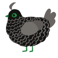 A black and grey chicken with a lace pattern
