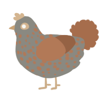 A ash and brown chicken with a speckle pattern