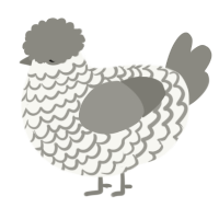 A white and ash chicken with a lace pattern