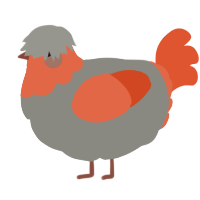 A ash and vermilion chicken with a head pattern