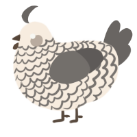 A cream and grey chicken with a lace pattern