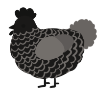 A sable and grey chicken with a lace pattern