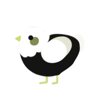 Romano, a black and white chicken with a head pattern