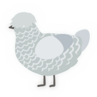 A silver and mist chicken with a lace pattern