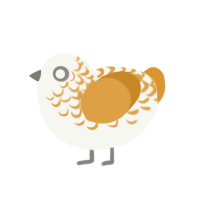 (unnamed), a white and orange chicken with a half-lace pattern