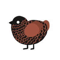 pumpkin drizzle, a sable and russet chicken with a lace pattern