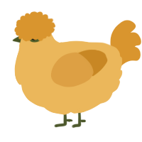 A honey and orange chicken
