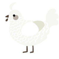 A white chicken with a lace pattern