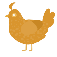 A orange chicken with a speckle pattern