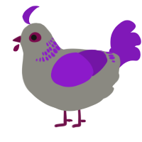 A ash and violet chicken with a neck-band pattern