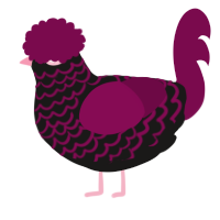 A sable and wine chicken with a lace pattern