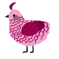 A pink and maroon chicken with a lace pattern