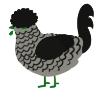 A ash and black chicken with a lace pattern