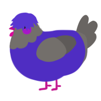 A indigo and grey chicken with a head pattern