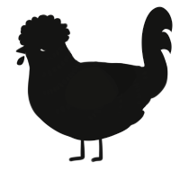 A black chicken with a half-bar pattern