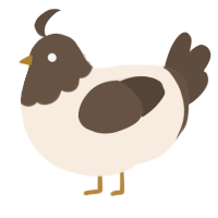 A cream and bark chicken with a head pattern