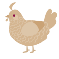 shortbread, a beige chicken with a lace pattern