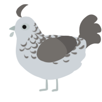 A mist and grey chicken with a half-lace pattern