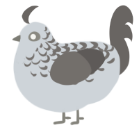 A mist and grey chicken with a half-lace pattern