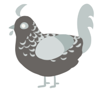 A grey and silver chicken with a half-lace pattern