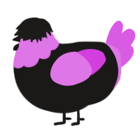 A sable and orchid chicken with a head pattern