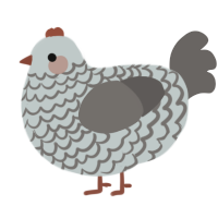 A silver and grey chicken with a lace pattern