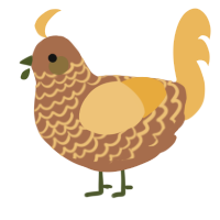 A brown and honey chicken with a lace pattern