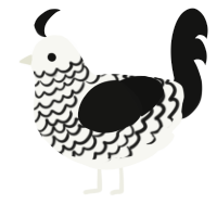 A white and black chicken with a lace pattern