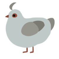 A silver and ash chicken
