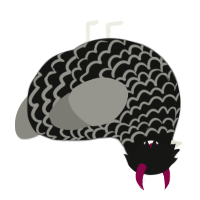 A black and ash chicken with a lace pattern