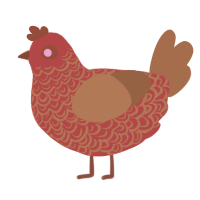A red and brown chicken with a double-lace pattern