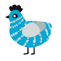 A cerulean and silver chicken with a bar pattern