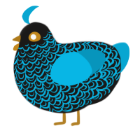 underachiever, a sable and cerulean chicken with a double-lace pattern