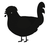 A black chicken with a half-lace pattern