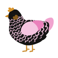 A black and pink chicken with a lace pattern