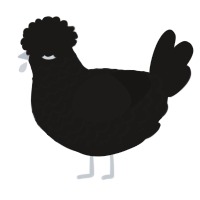 A sable chicken with a lace pattern