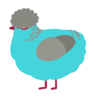 A aqua and ash chicken with a neck-band pattern