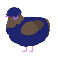 A navy and bark chicken with a head pattern