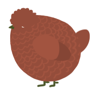 A russet chicken with a lace pattern