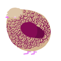 A beige and wine chicken with a double-lace pattern