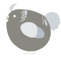 A ash and mist chicken with a neck-band pattern