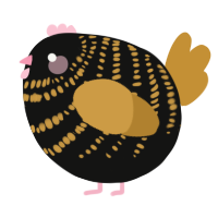 A black and gold chicken with a bar pattern