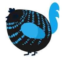 A sable and sky chicken with a bar pattern