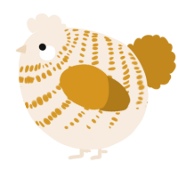 A cream and ochre chicken with a bar pattern