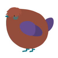 A russet and overcast chicken