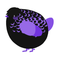 A black and blurple chicken with a half-lace pattern