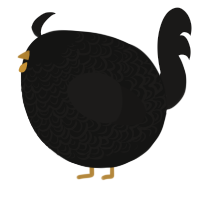 A black and sable chicken with a double-lace pattern