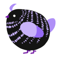 A black and lilac chicken with a bar pattern