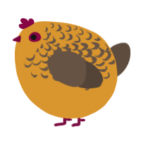 A orange and bark chicken with a half-lace pattern